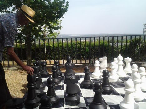 clases y cursos de ajedrez